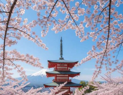 Cảnh đẹp Nhật Bản mùa hoa anh đào (sakura) với một ngôi chùa cổ kính rực rỡ trong sắc hoa.