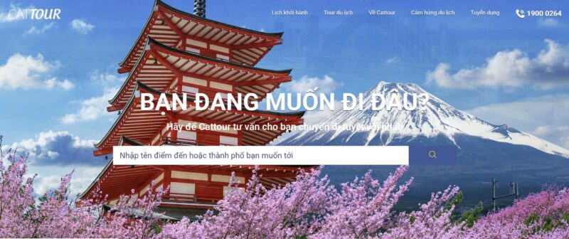 Cat Tour – công ty du lịch uy tín hàng đầu tại TPHCM