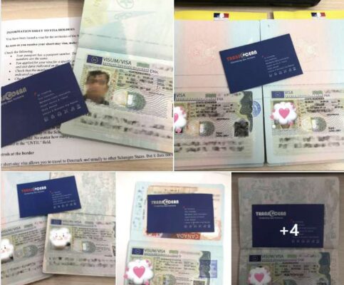 Visa Liên Đại Dương xử lý thành công nhiều hồ sơ visa châu Âu và Canada