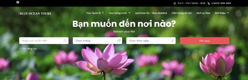 Top 4 công ty du lịch uy tín tại Quận 4 8 Blue Ocean Tours cung cấp dịch vụ du lịch chất lượng tại Quận 4