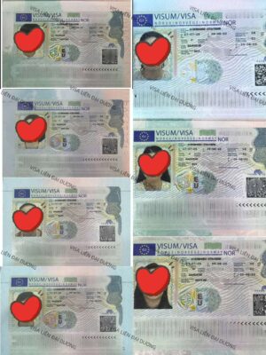 Tổng hợp hình ảnh visa Schengen Na Uy thành công của nhiều khách hàng, được thực hiện bởi dịch vụ của Visa Liên Đại Dương.