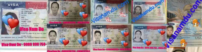Visa Nam Du Có Uy Tín Không? Tổng Hợp Đánh Giá Từ Khách Hàng 2026 17 Khách hàng nhận visa Mỹ thành công nhờ dịch vụ hỗ trợ chuyên nghiệp của Visa Nam Du